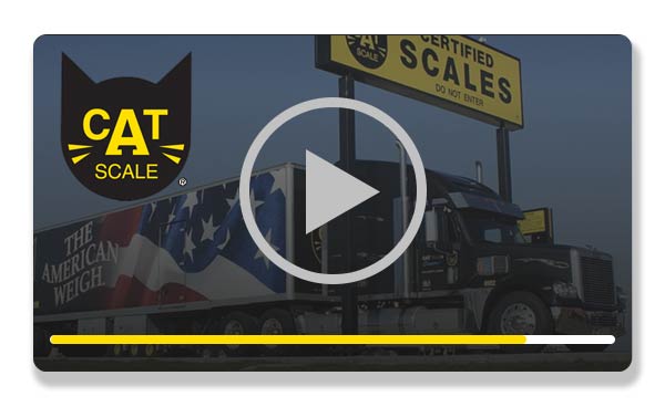 CAT Scale Videos